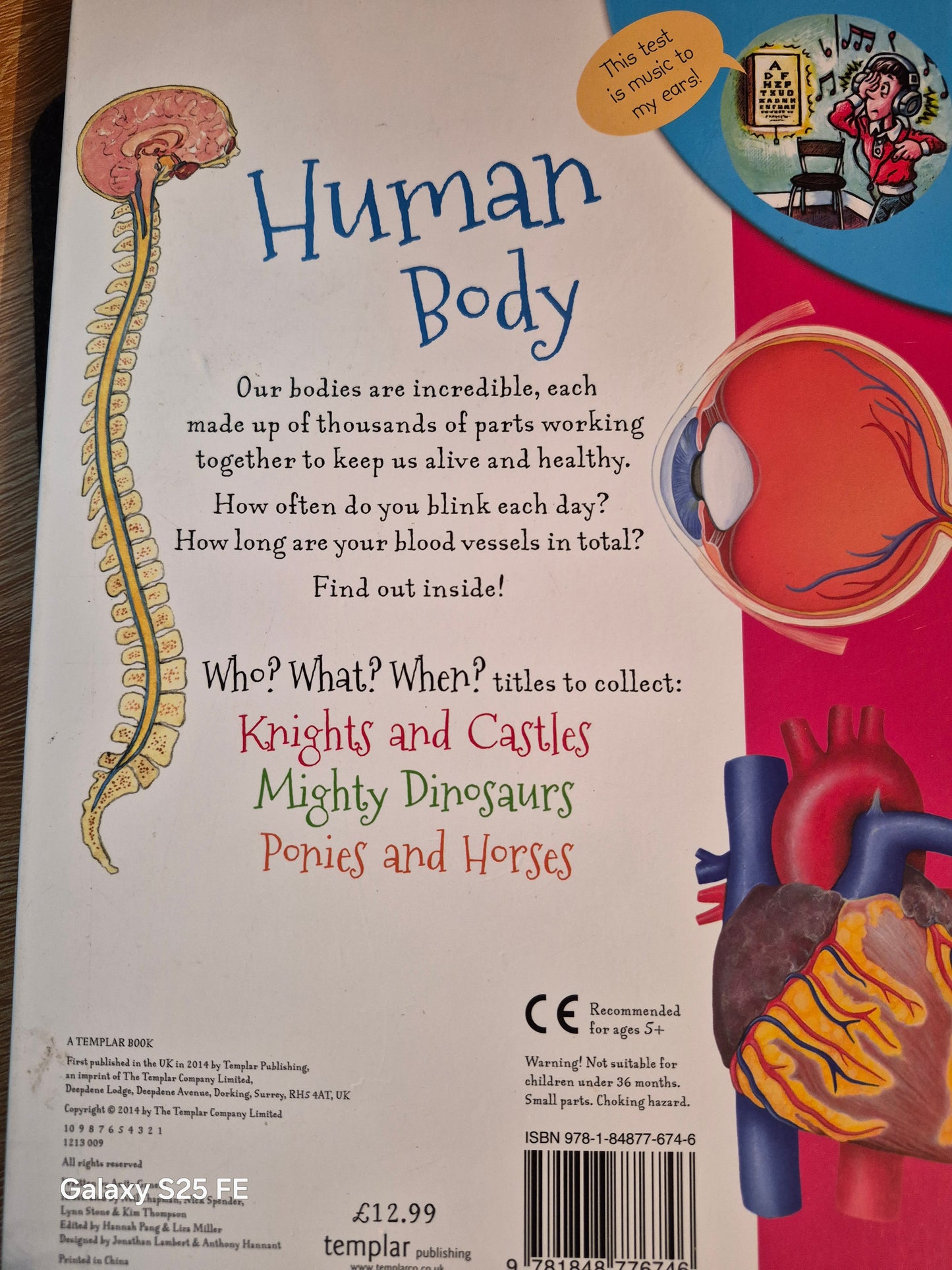 Human Body