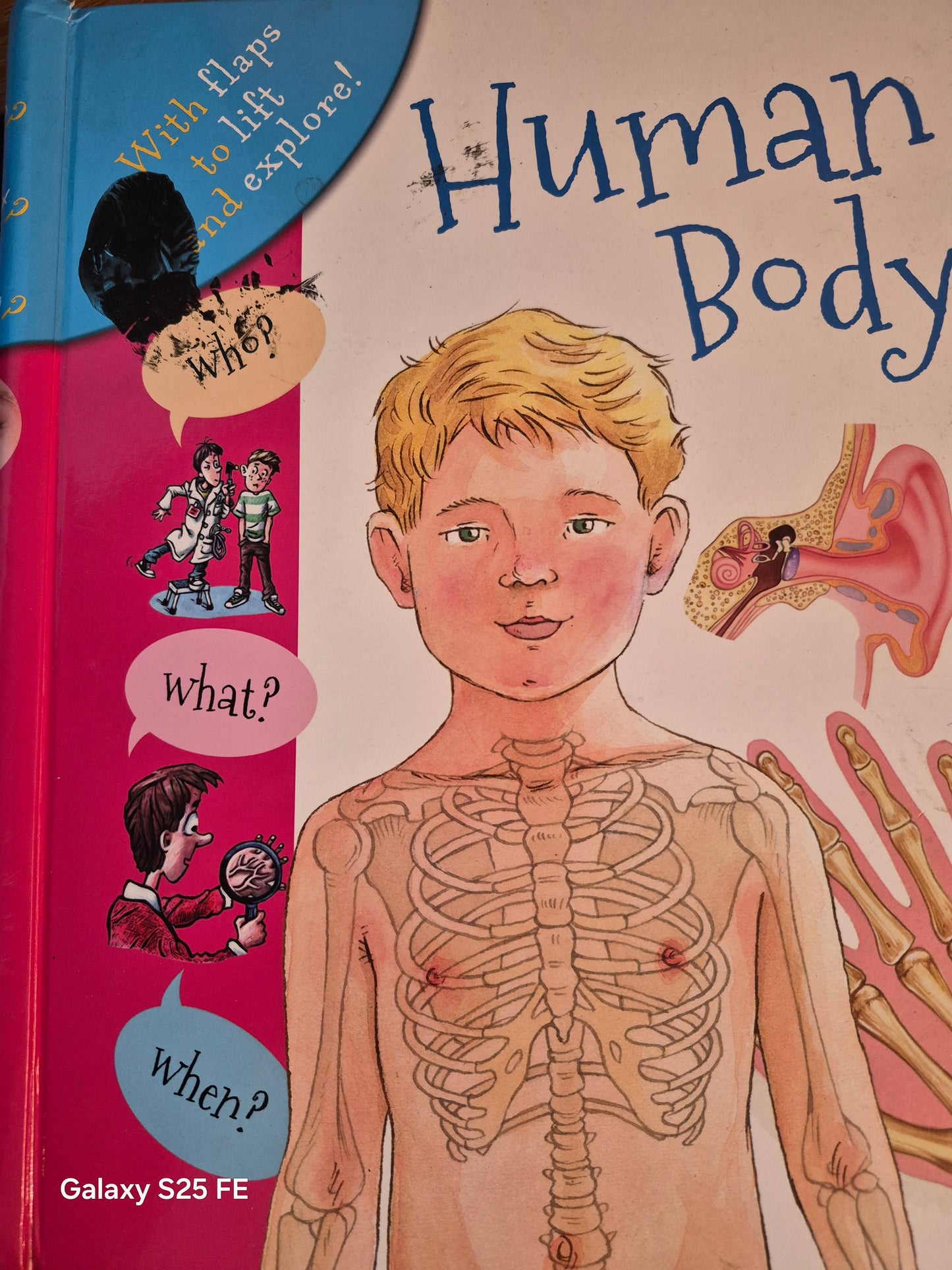 Human Body