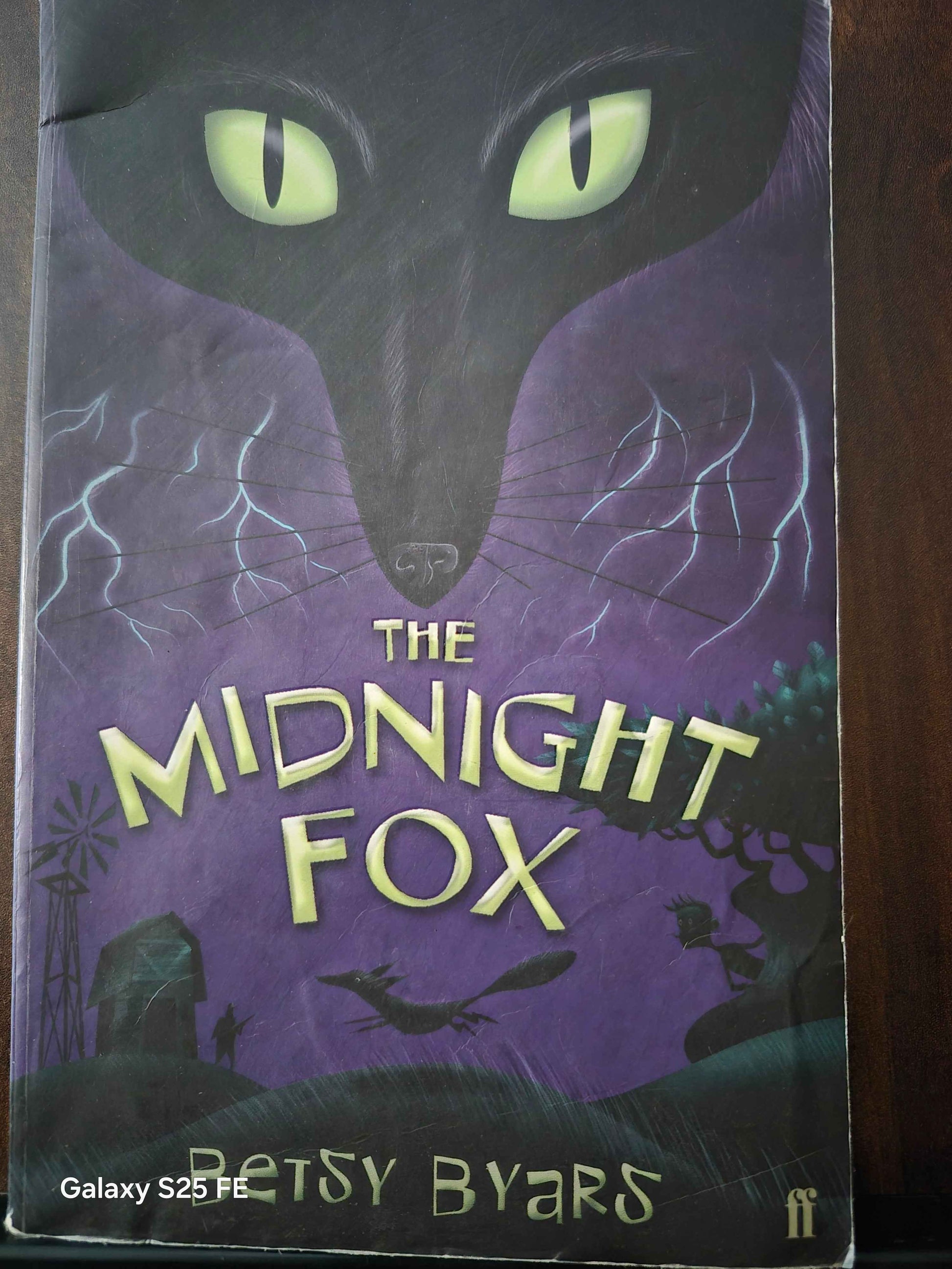 The Midnight Fox