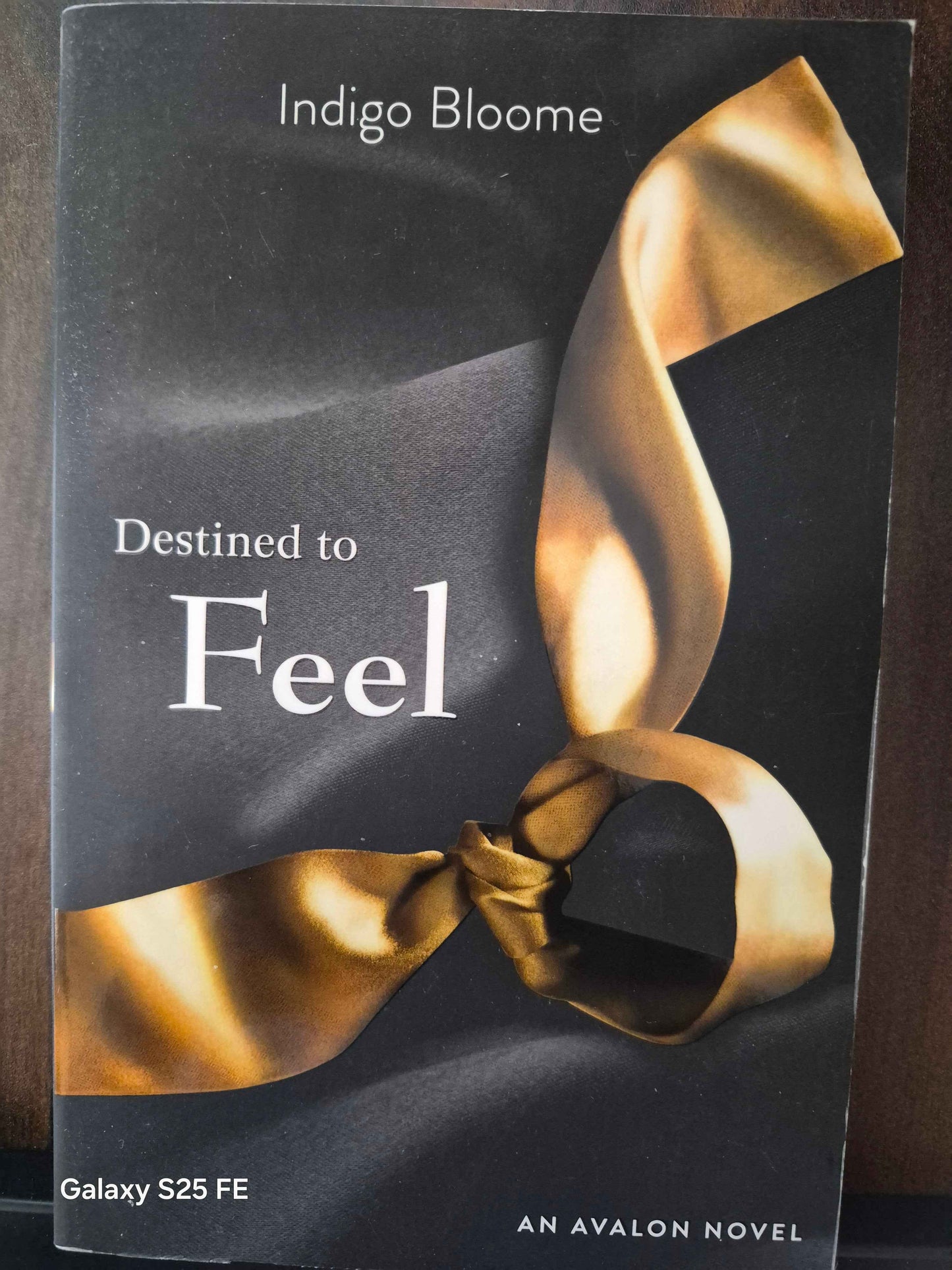 Destined to Feel by Indigo Bloome