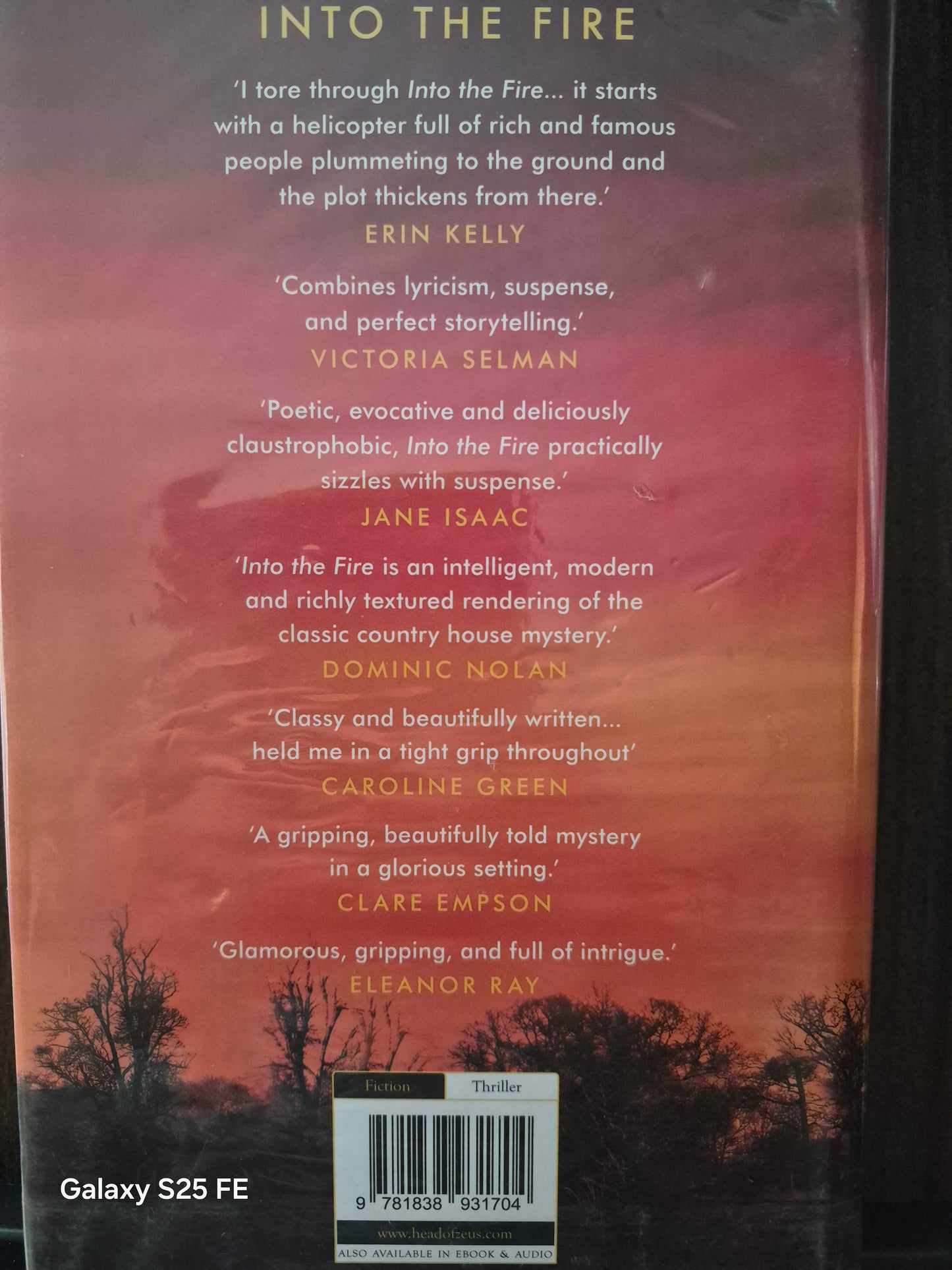 Into the Fire – Rachael Blok