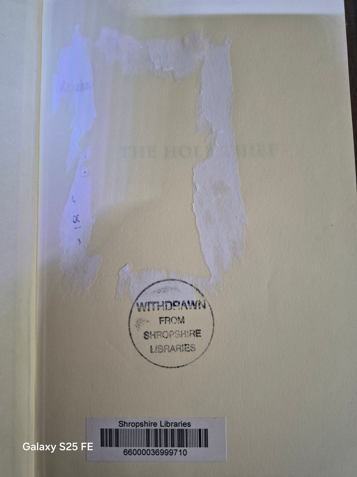 The Holy Thief - William Ryan
