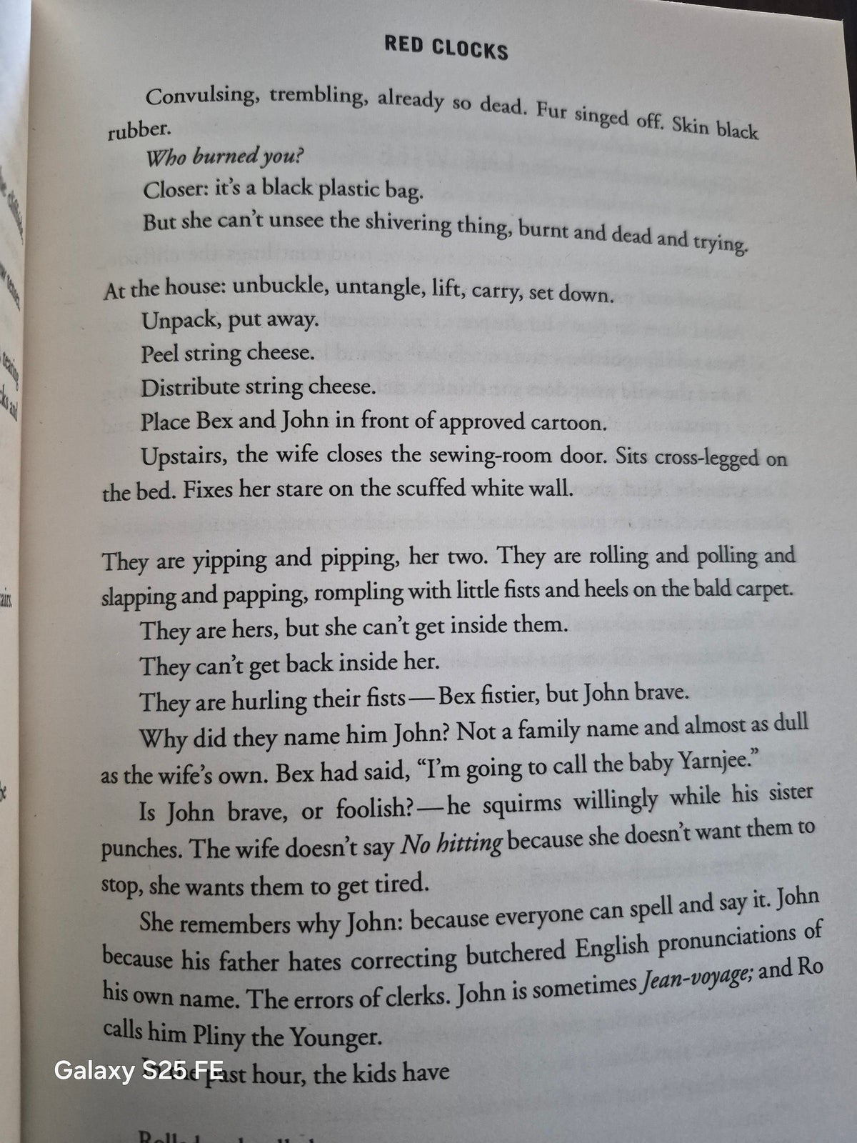 Red Clocks - Leni Zumas