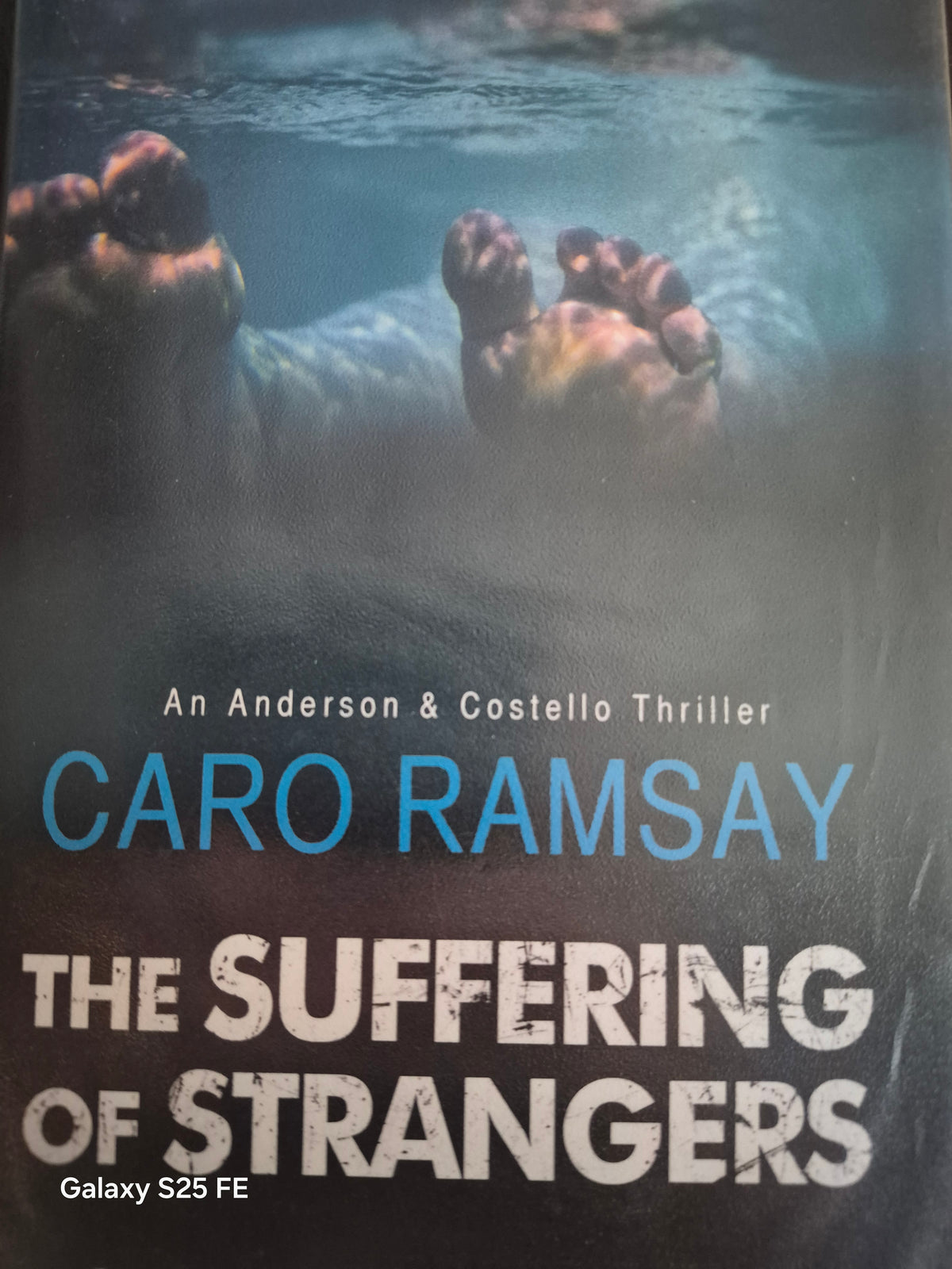The Suffering of Strangers - Caro Ramsay